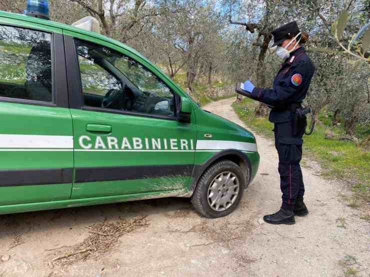 Auto dei Carabinieri Forestali